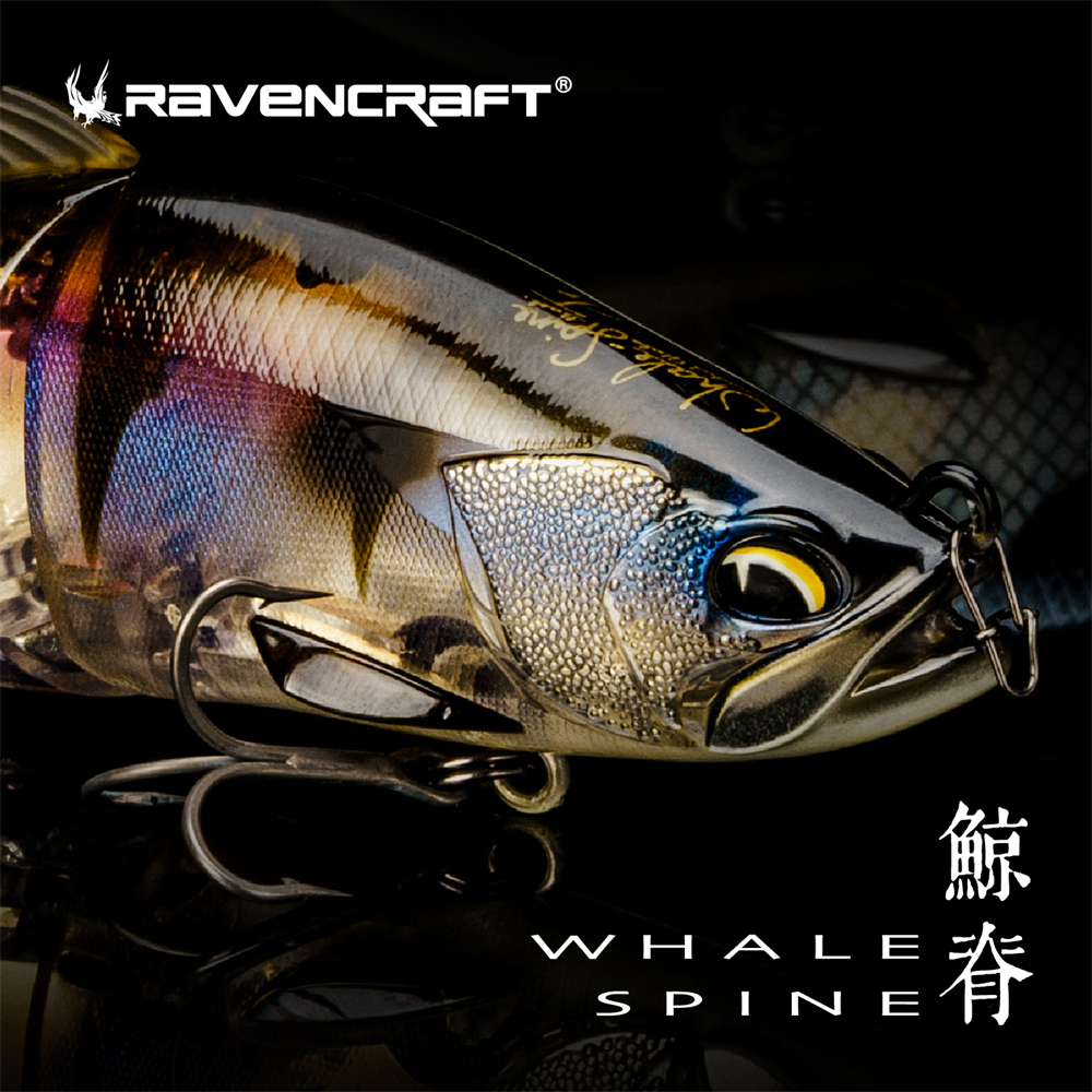 Ravencraft Whale-Spine JR 109m - Fishing Lure Popper review and price